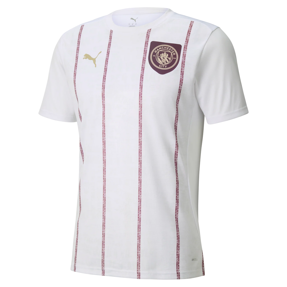 Manchester City EPL Puma Men White 2024/25 Pre-Match Jersey product image 1, provided for visual reference and product
