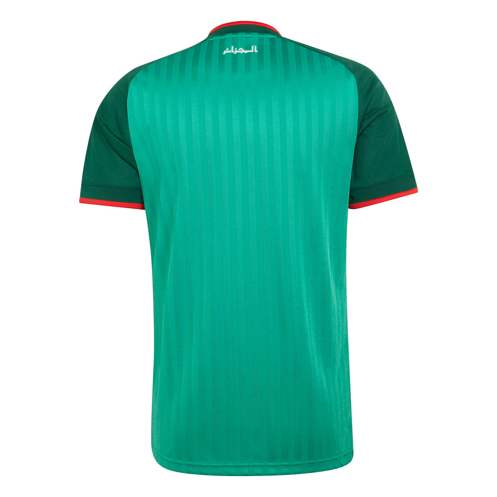 Algeria National Team FIFA Adidas Men Green 2026 Replica Away Jersey product image 2, provided for visual reference and