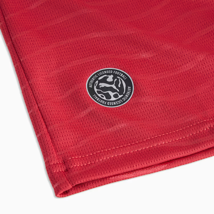 Cristiano Ronaldo Portugal National Team FIFA Puma Youth Red 2026/27 Replica Jersey product image 5, provided for visual