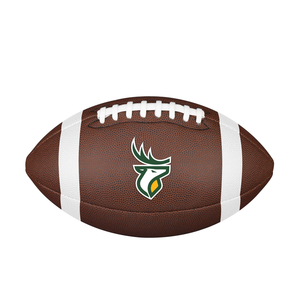 Edmonton Elks CFL Wilson Backyard Legend Football product image 1, provided for visual reference and product detail review