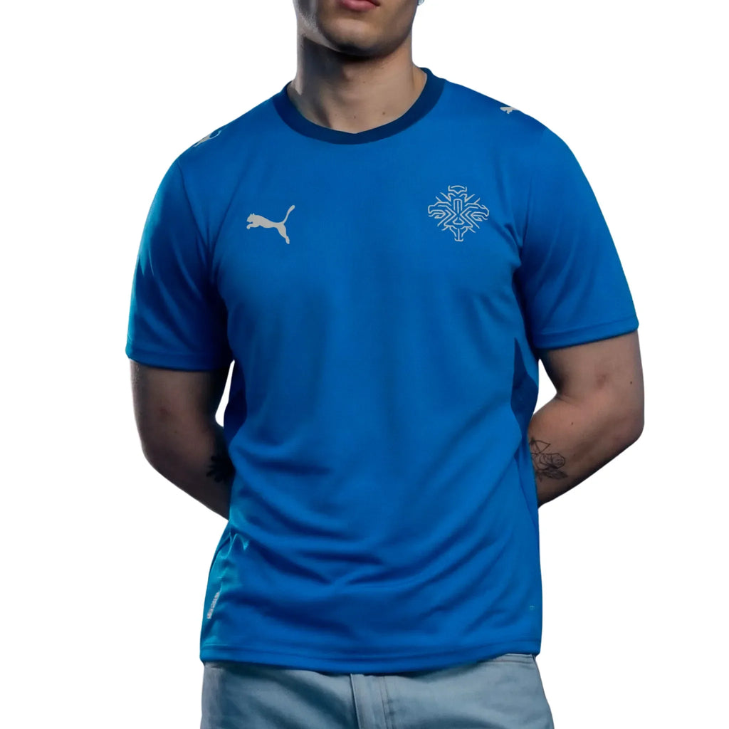 Iceland National Team FIFA Puma Men Blue 2026 Home Replica Jersey product image 3, provided for visual reference and product