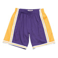 Los Angeles Lakers NBA Mitchell & Ness Men Purple 1984-85 Hardwood Classics Swingman Shorts product image 1, provided for