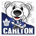 Carlton Toronto Maple Leafs NHL Masterpieces Squizzle 100 Piece Puzzle product image 1, provided for visual reference and