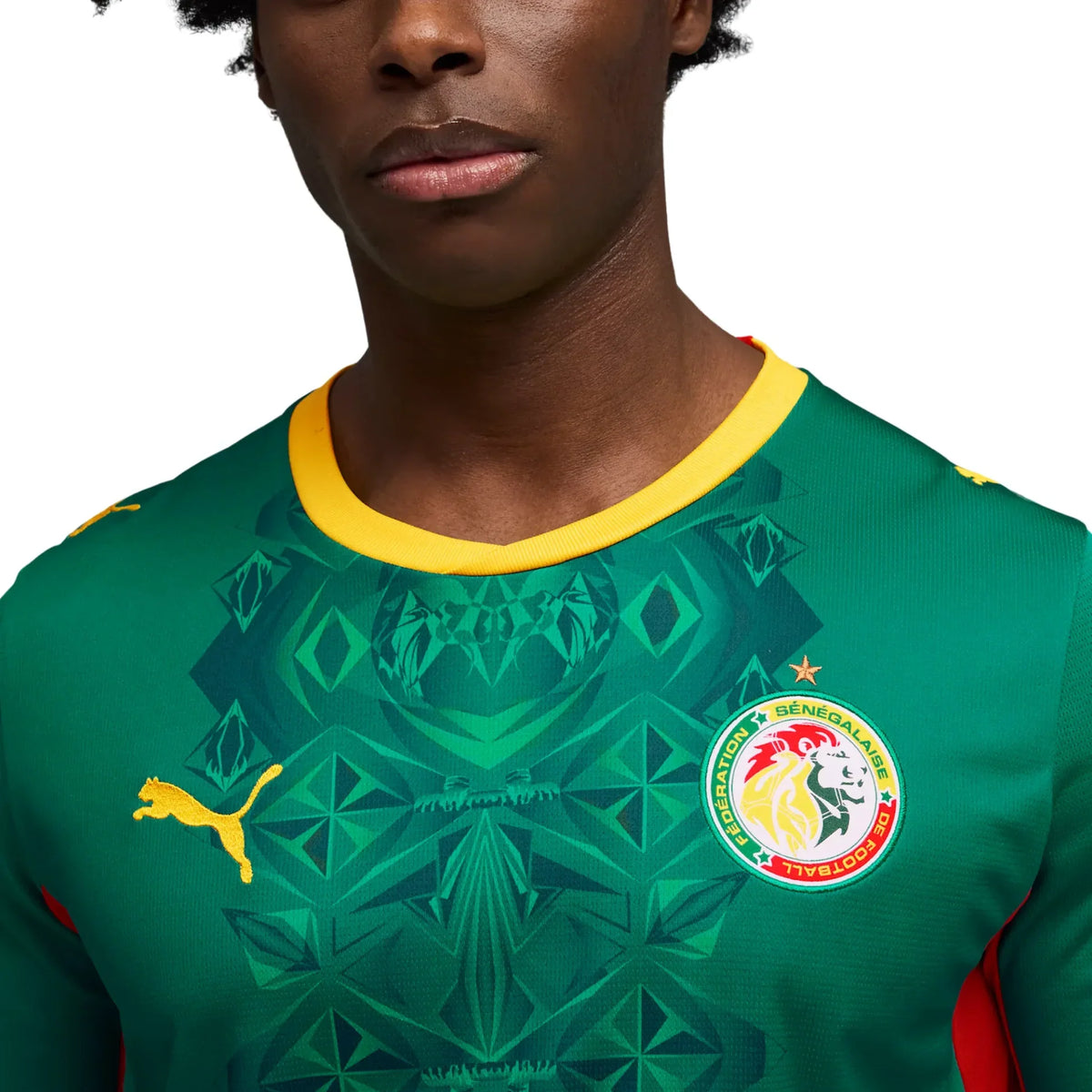 Senegal National Team FIFA Puma Men Green 2026 Away Replica Jersey product image 5, provided for visual reference and