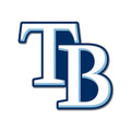 Tampa Bay Rays MLB WinCraft Collector Enamel Pin product image 1, provided for visual reference and product detail review