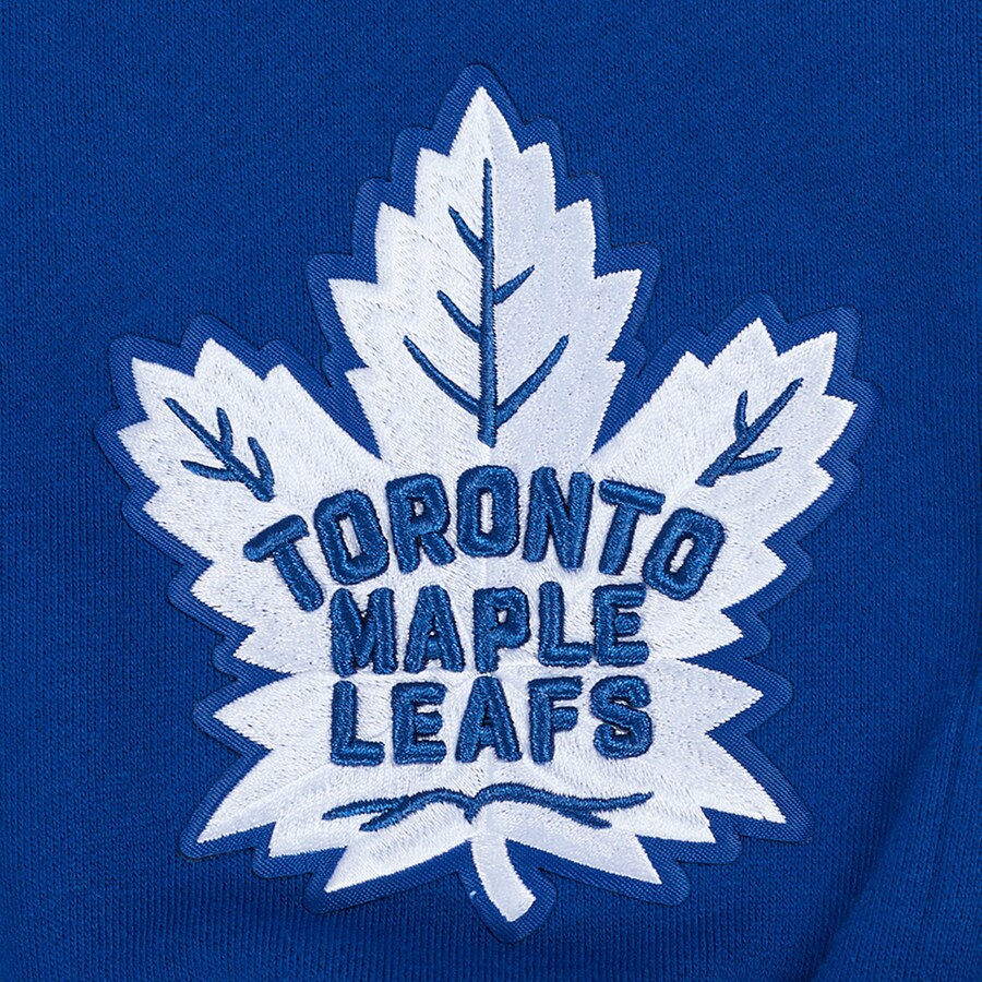 Toronto Maple Leafs NHL Pro Standard Men Royal Blue Wingspan Pullover Hoodie product image 5, provided for visual reference