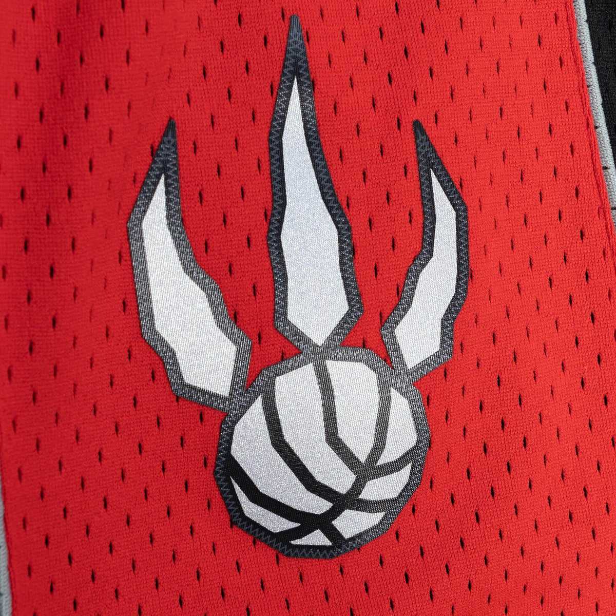 Toronto Raptors NBA Mitchell & Ness Men Black 2012-13 Hardwood Classics Swingman Shorts product image 3, provided for visual