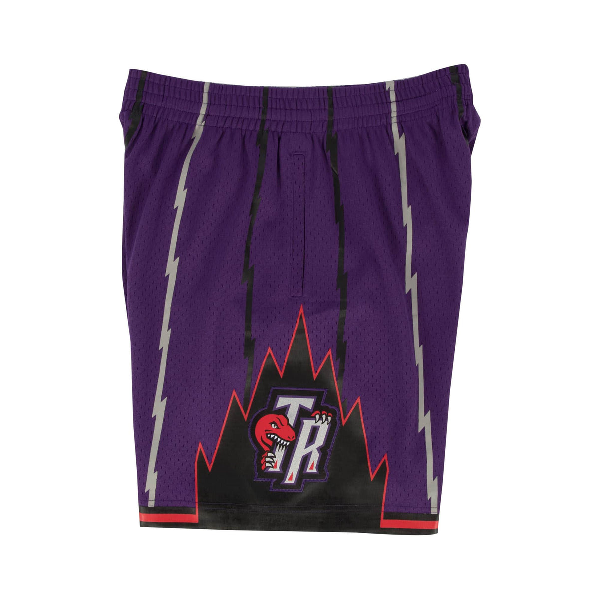 Toronto Raptors NBA Mitchell & Ness Men Purple 1998-99 Hardwood Classics Swingman Shorts product image 2, provided for