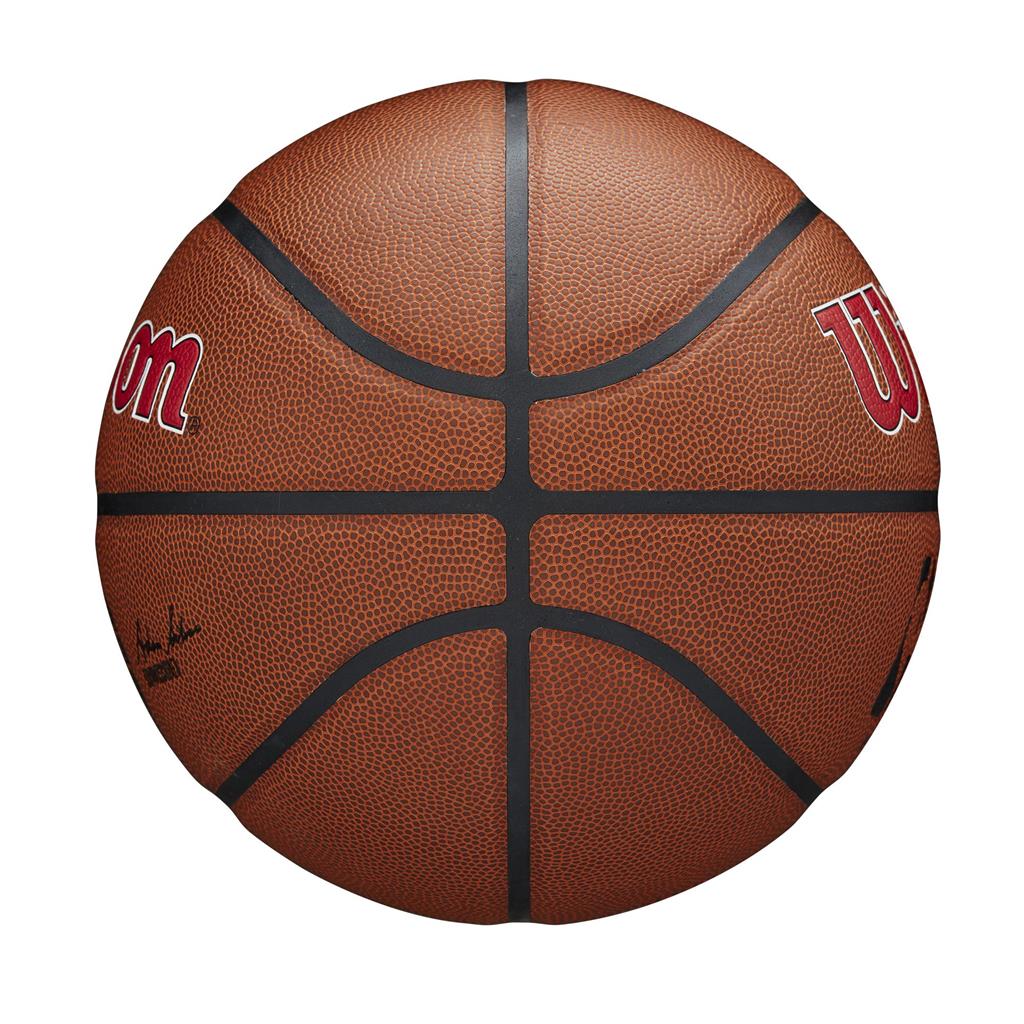 Toronto Raptors NBA Wilson Team Alliance Basketball product image 3, provided for visual reference and product detail review