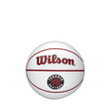 Toronto Raptors NBA Wilson Team Autographic Mini Basketball product image 1, provided for visual reference and product