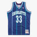 Alonzo Mourning Charlotte Hornets Authentic Alternate product image 1