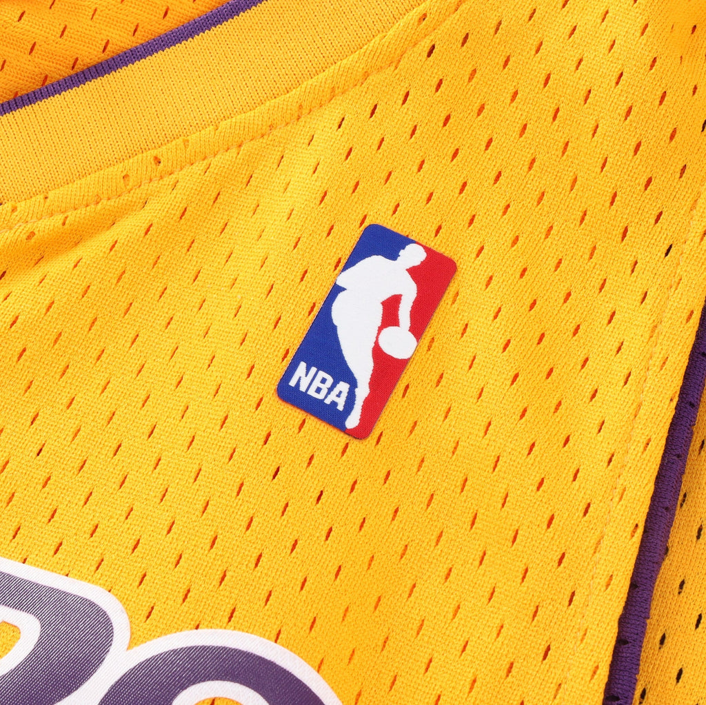 Lamar Odom Los Angeles Lakers NBA Swingman Jersey product image 7