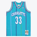Alonzo Mourning Charlotte Hornets NBA Swingman Jersey product image 1