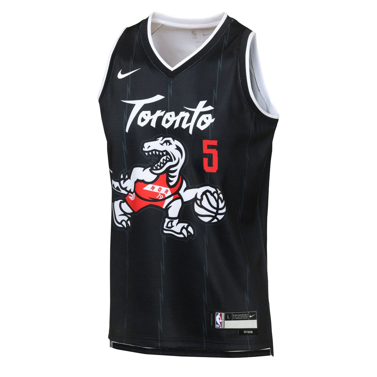 Toronto Raptors Nike 2025/26 City Edition Swingman Jersey product image 3
