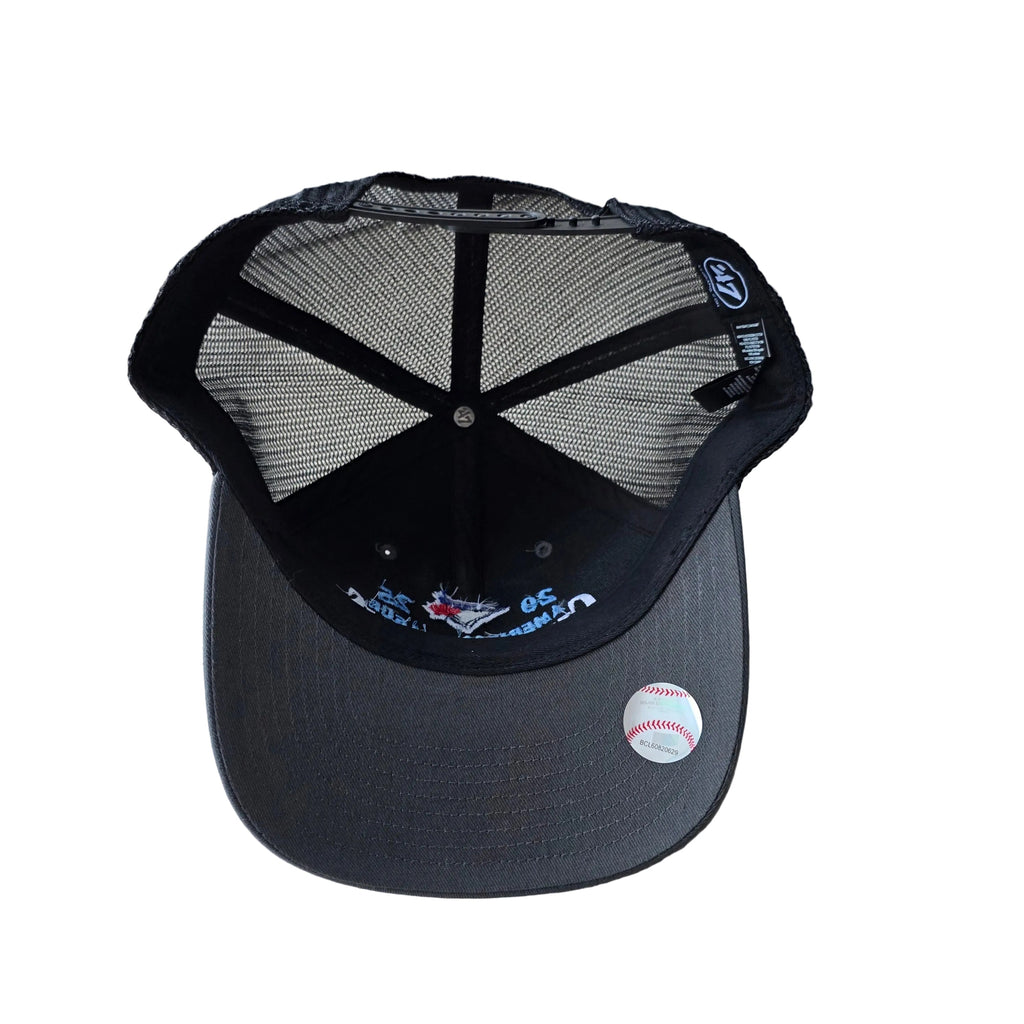 Toronto Blue Jays MLB 47 Brand Men Royal 2025 ALCS Champions Trucker Adjustable Hat product image 3, provided for visual