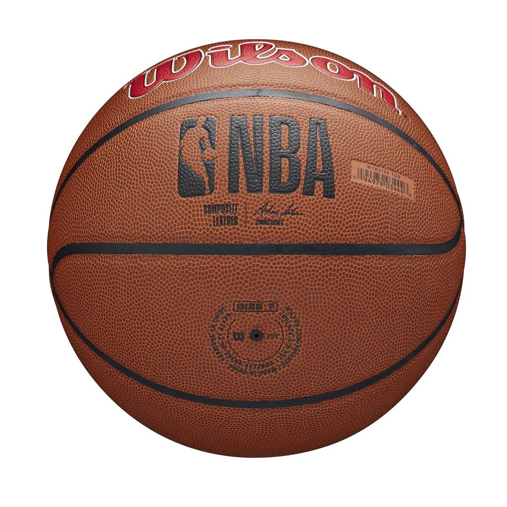 Toronto Raptors NBA Wilson Team Alliance Basketball product image 2, provided for visual reference and product detail review